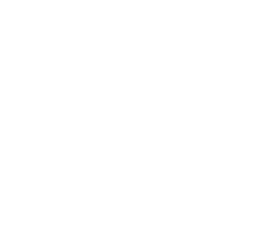 Punto Sano